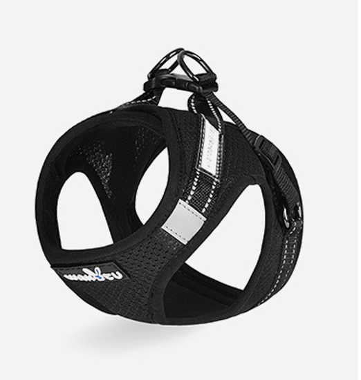 Pet cat harness