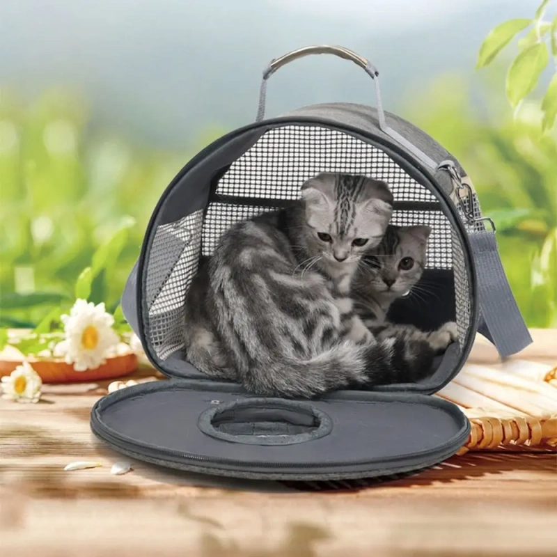 Portable Small Pet Outing Bag Clear View Breathable Chinchilla Outdoor Cage Lightweight Handheld Hamster Travel Carrier