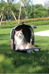 Cat Space Capsule Backpack