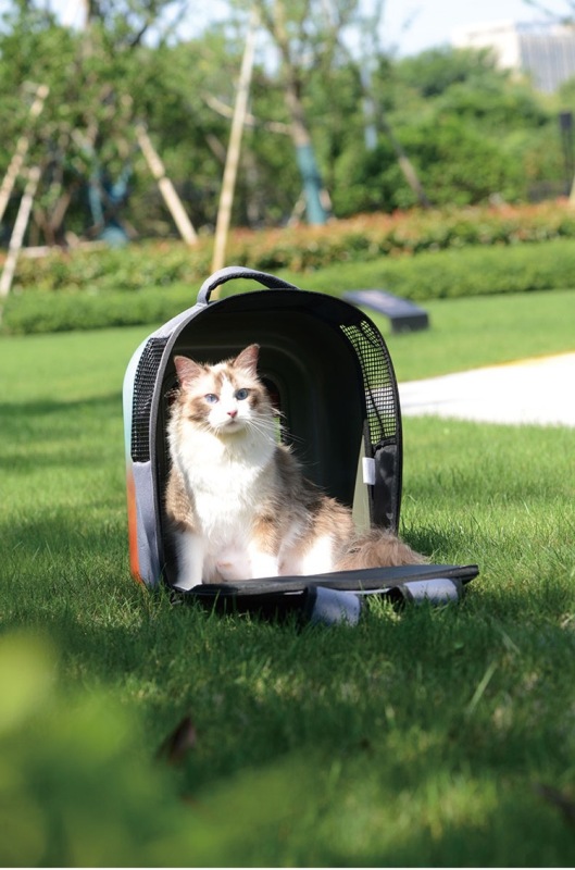 Cat Space Capsule Backpack