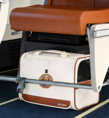 Pet travel bags are allowed on airplanes