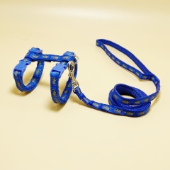 cat mouse harness