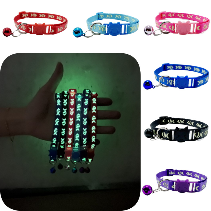 Cat glow-in-the-dark collar