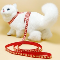 cat glow-in-the-dark harness