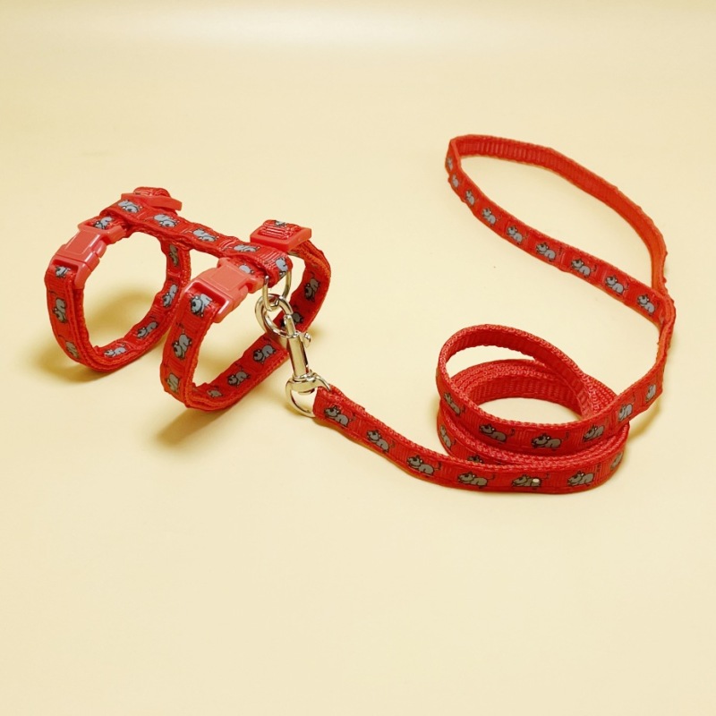 cat mouse harness