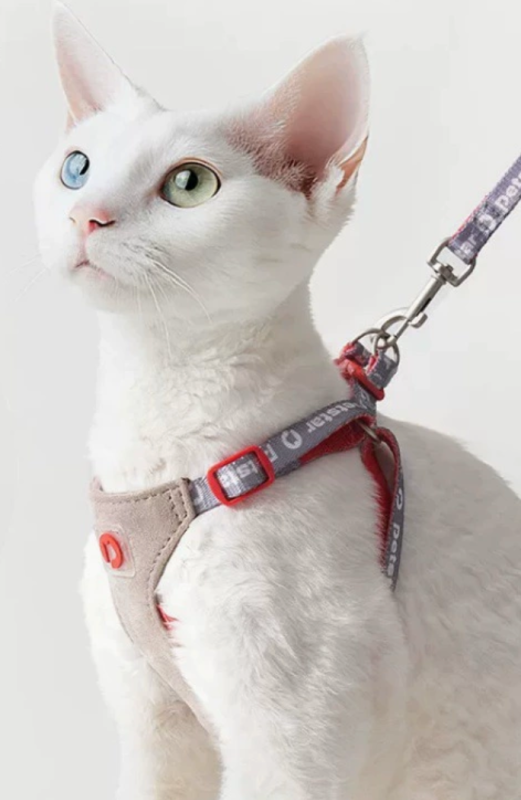 Cat-themed Chest Strap Set