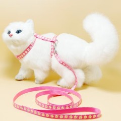 cat glow-in-the-dark harness