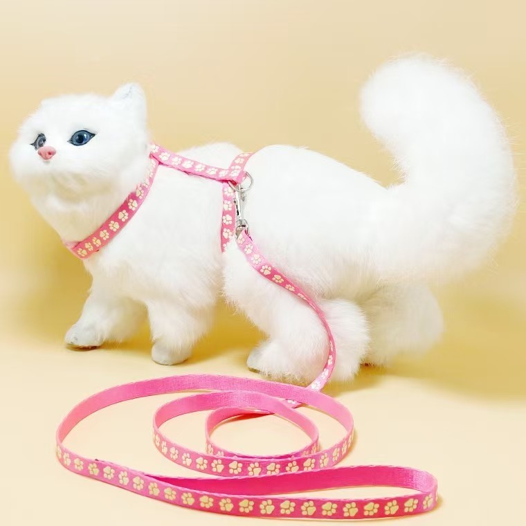 cat glow-in-the-dark harness
