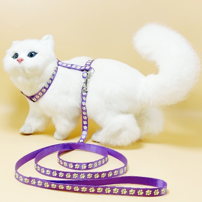 cat glow-in-the-dark harness