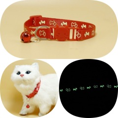 Cat glow-in-the-dark collar