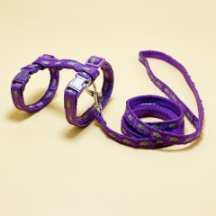 cat mouse harness