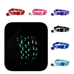 Cat glow-in-the-dark collar