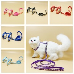 cat glow-in-the-dark harness