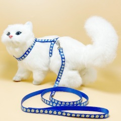 cat glow-in-the-dark harness