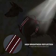 2026 Fashion Solid Cat Dog Harness Set Reflective Nylon Mesh Pet Gear Lightweight Breathable Harness
