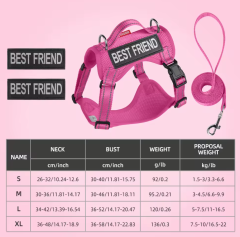 Fashion Solid Cat Dog Harness Set Reflective Nylon Mesh Pet Gear Lightweight Breathable Harness