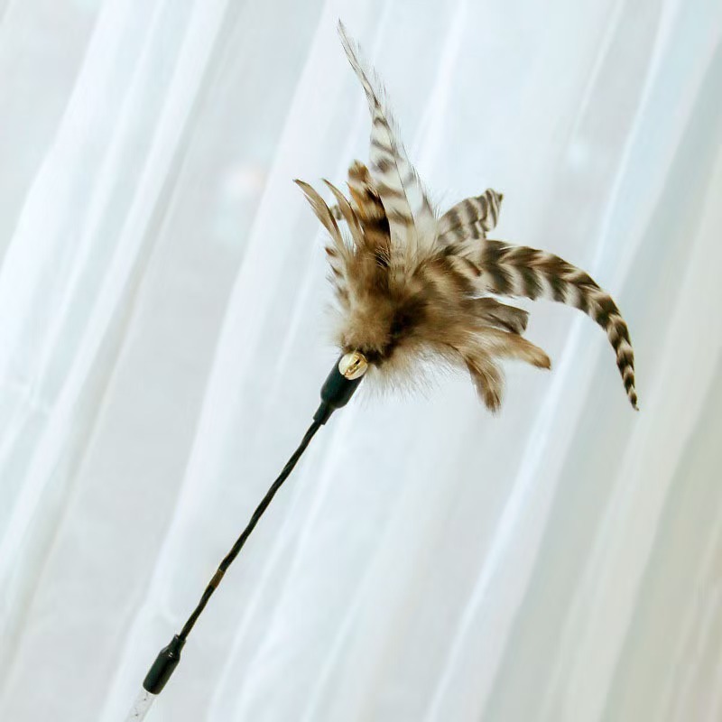 Cat teaser stick