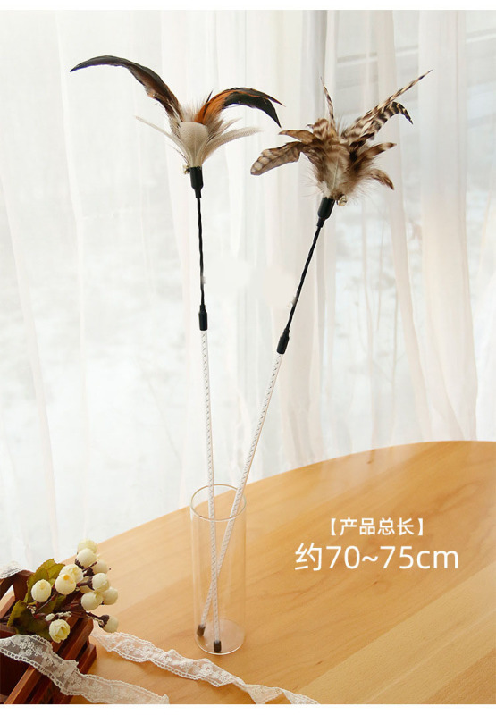 Cat teaser stick