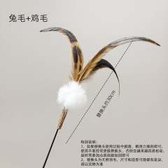Cat teaser stick