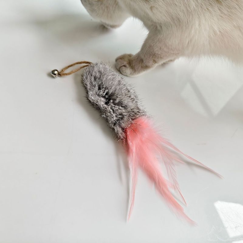 Replacement head for cat toy