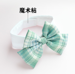 Cat bow tie
