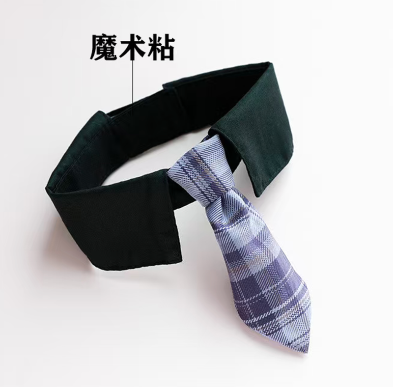 Cat bow tie