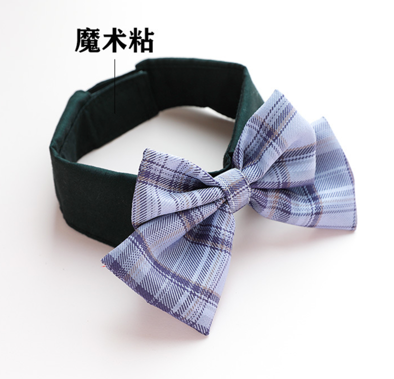 Cat bow tie