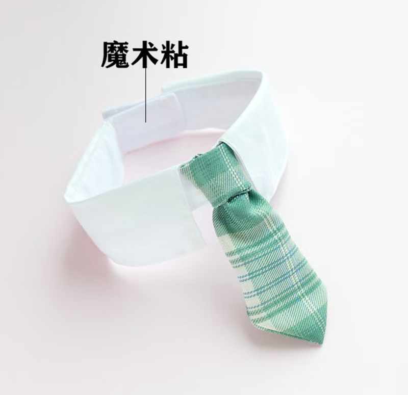 Cat bow tie