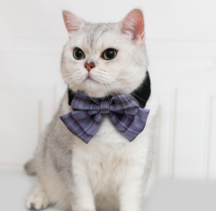 Cat bow tie