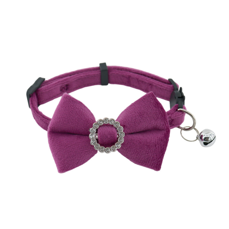 cat collar