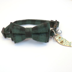 cat collar