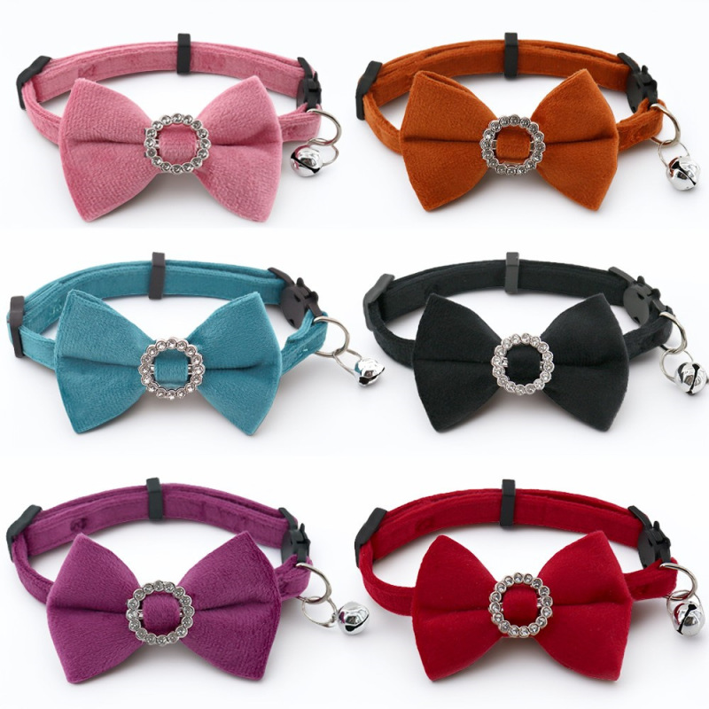 cat collar