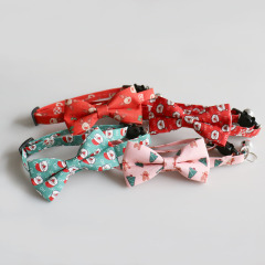 cat collar