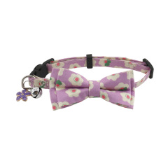 cat collar