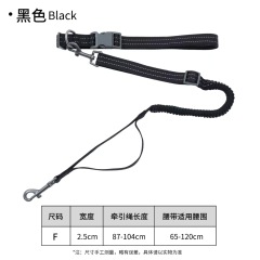 dog leash