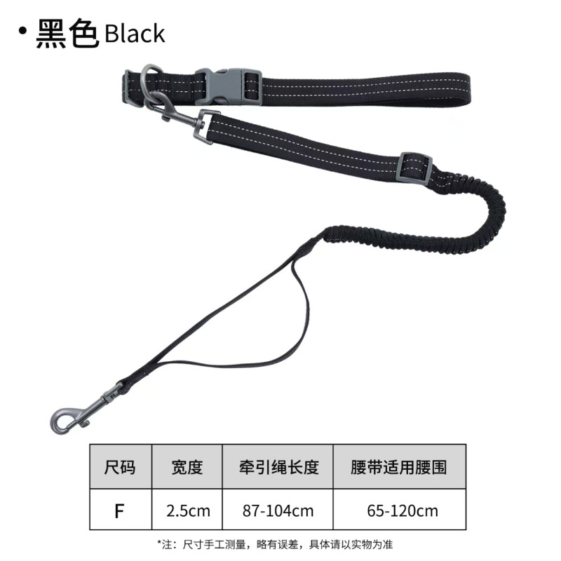 dog leash