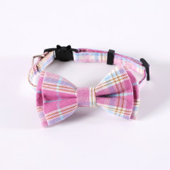 cat collar