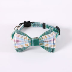 cat collar