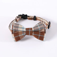 cat collar
