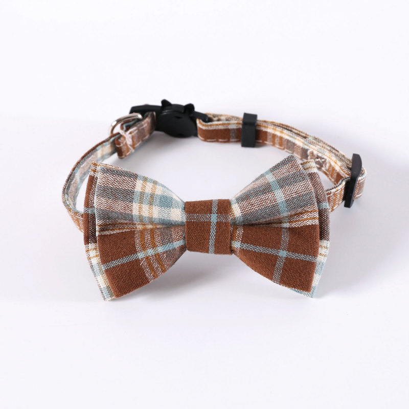 cat collar