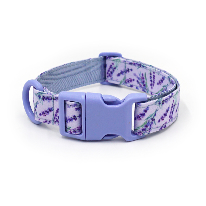 dog collar