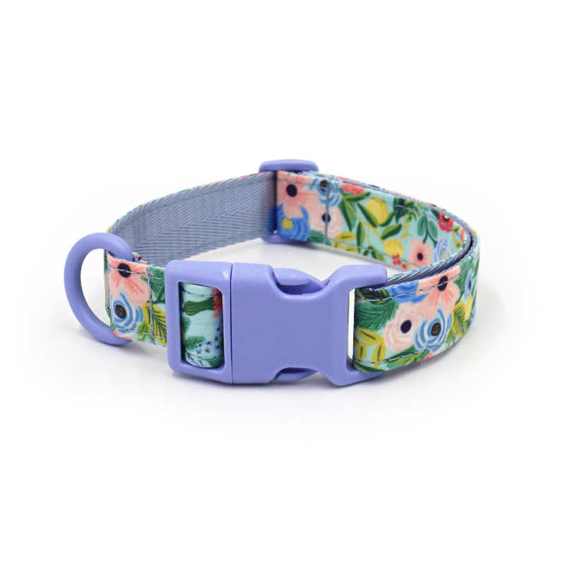 dog collar