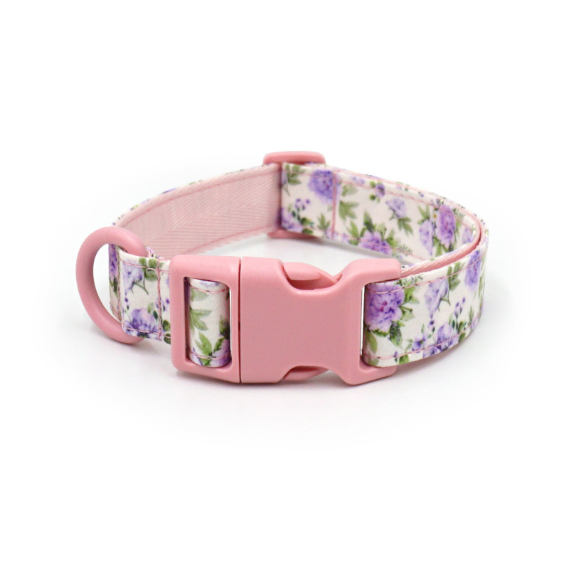 dog collar