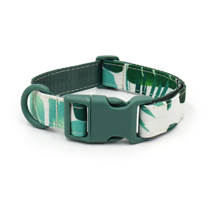 dog collar