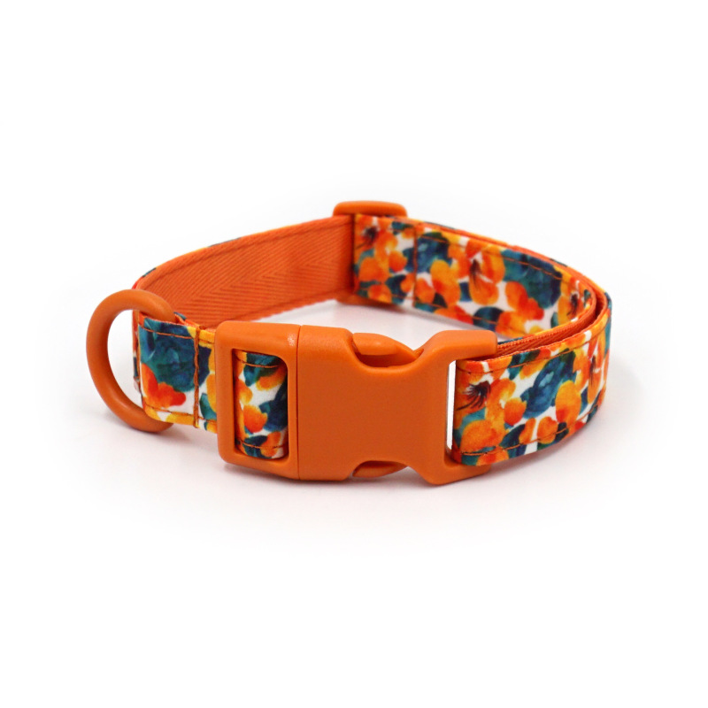 dog collar