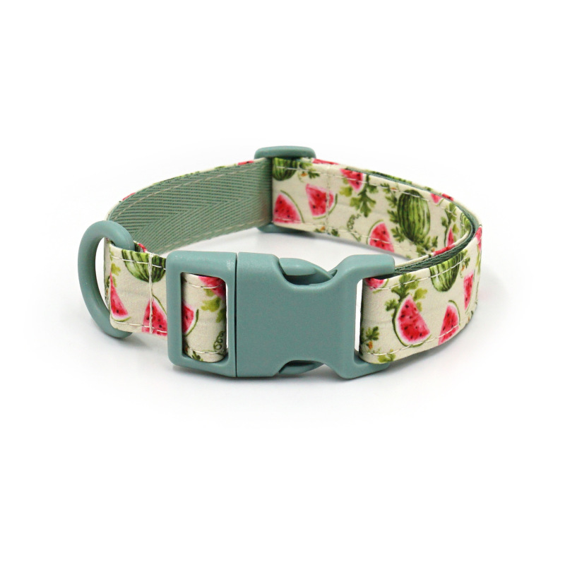 dog collar