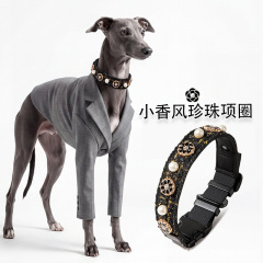 dog collar