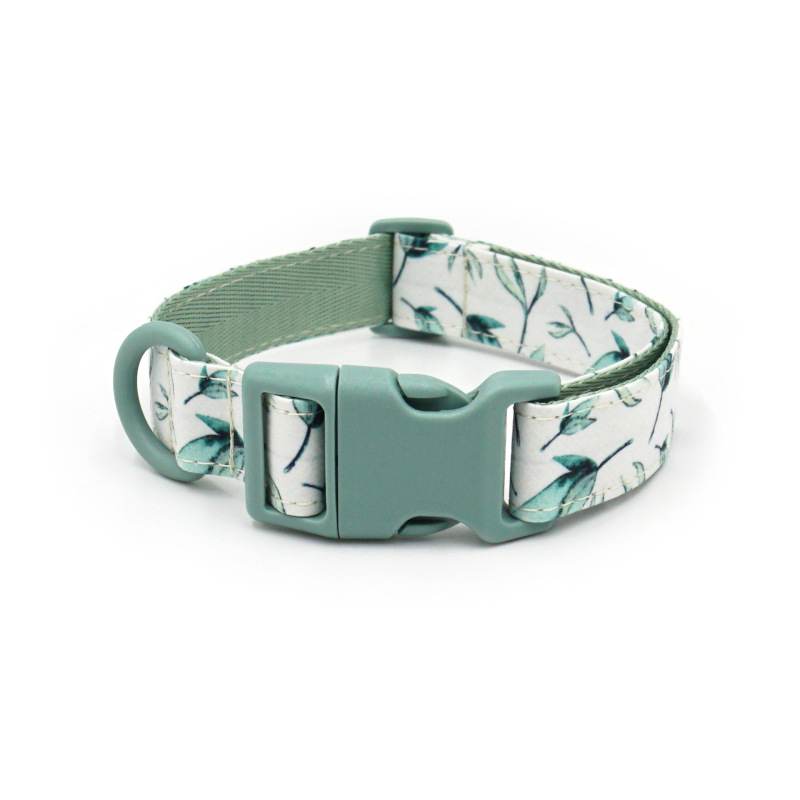 dog collar