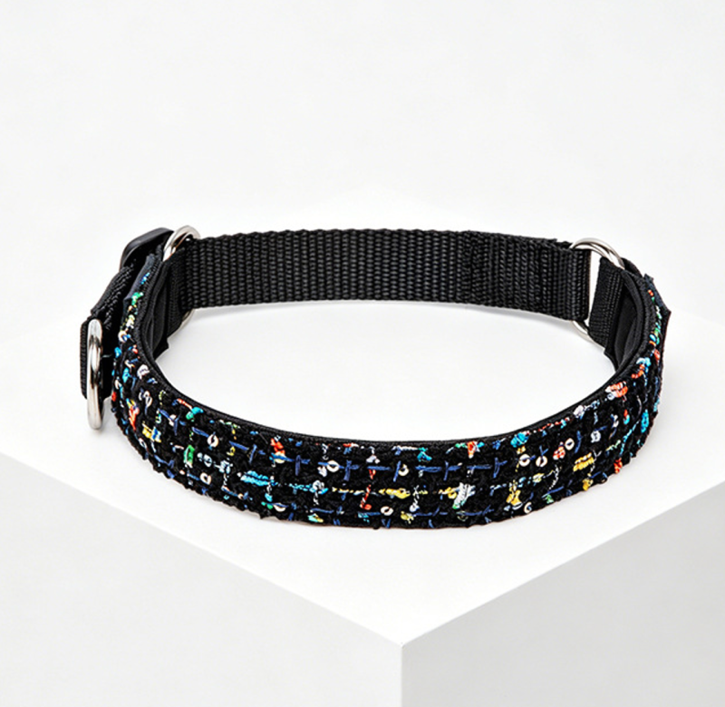 dog collar