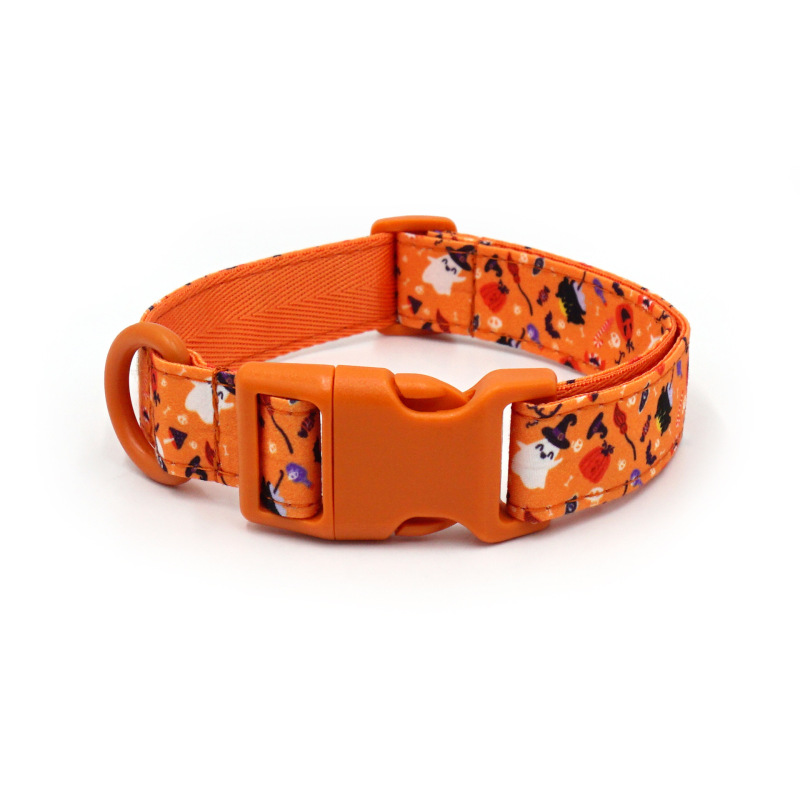 dog collar